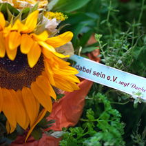 #sommerparty dabei sein e.V.